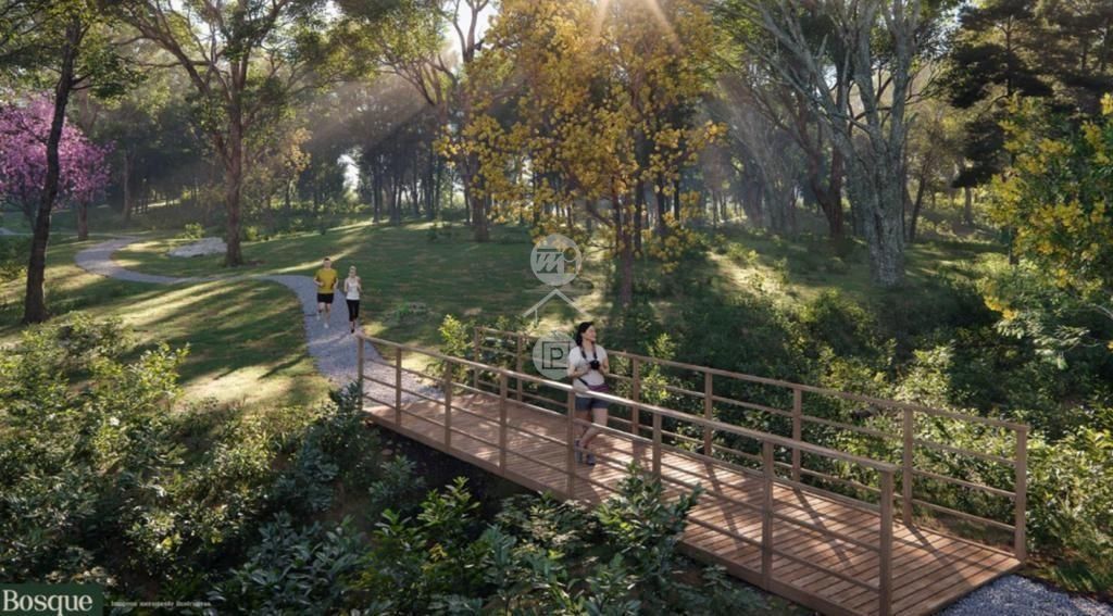 Terreno em Vila Santana, Santo Amaro da Imperatriz. 0 quartos, 800m². Imagem 4 de 12